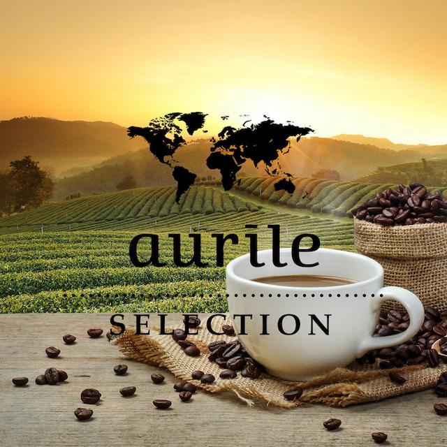 804006.01 - Café en Grano Excellence (500g) - Aurile Selection